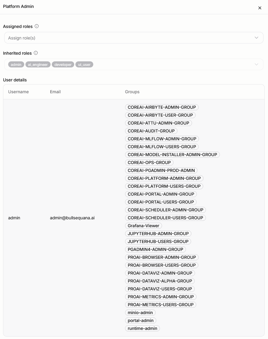 CoreAI Portal Authorization Control user role details